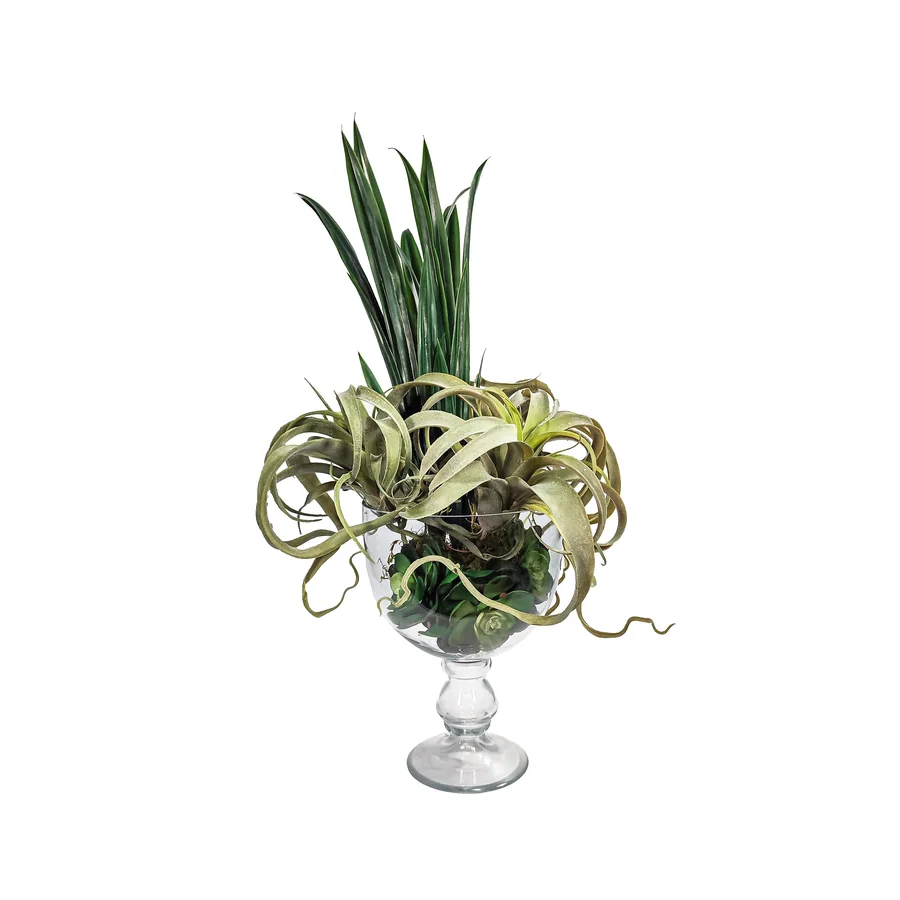 Air Plant & Rock Rose Arrangement — catalogue product