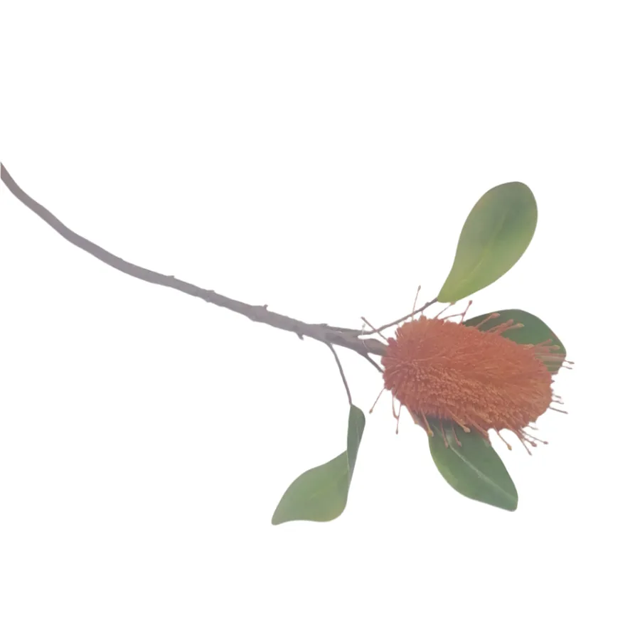 Artificial Flower - Burned Red Pincushion