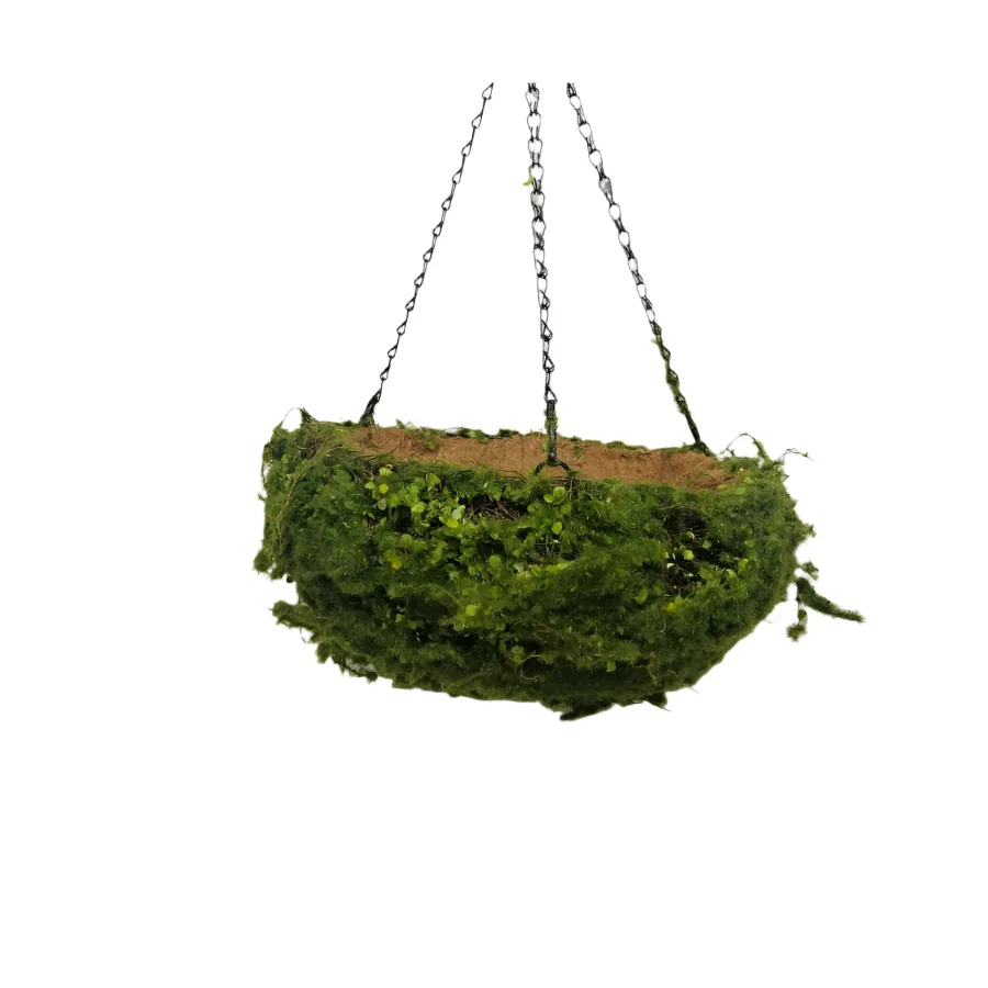 Hanging Grass Basket 28cm